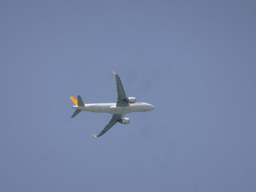 ワン城から見た飛行機